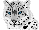 Snow Leopard