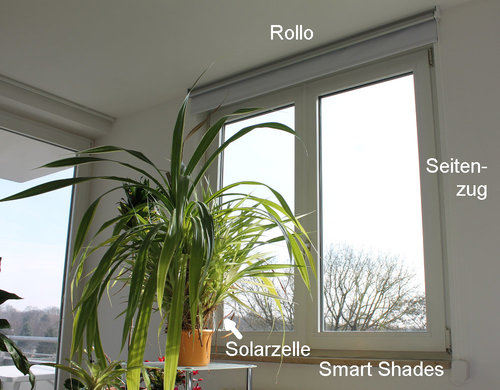 Rollo mit Smart Shades